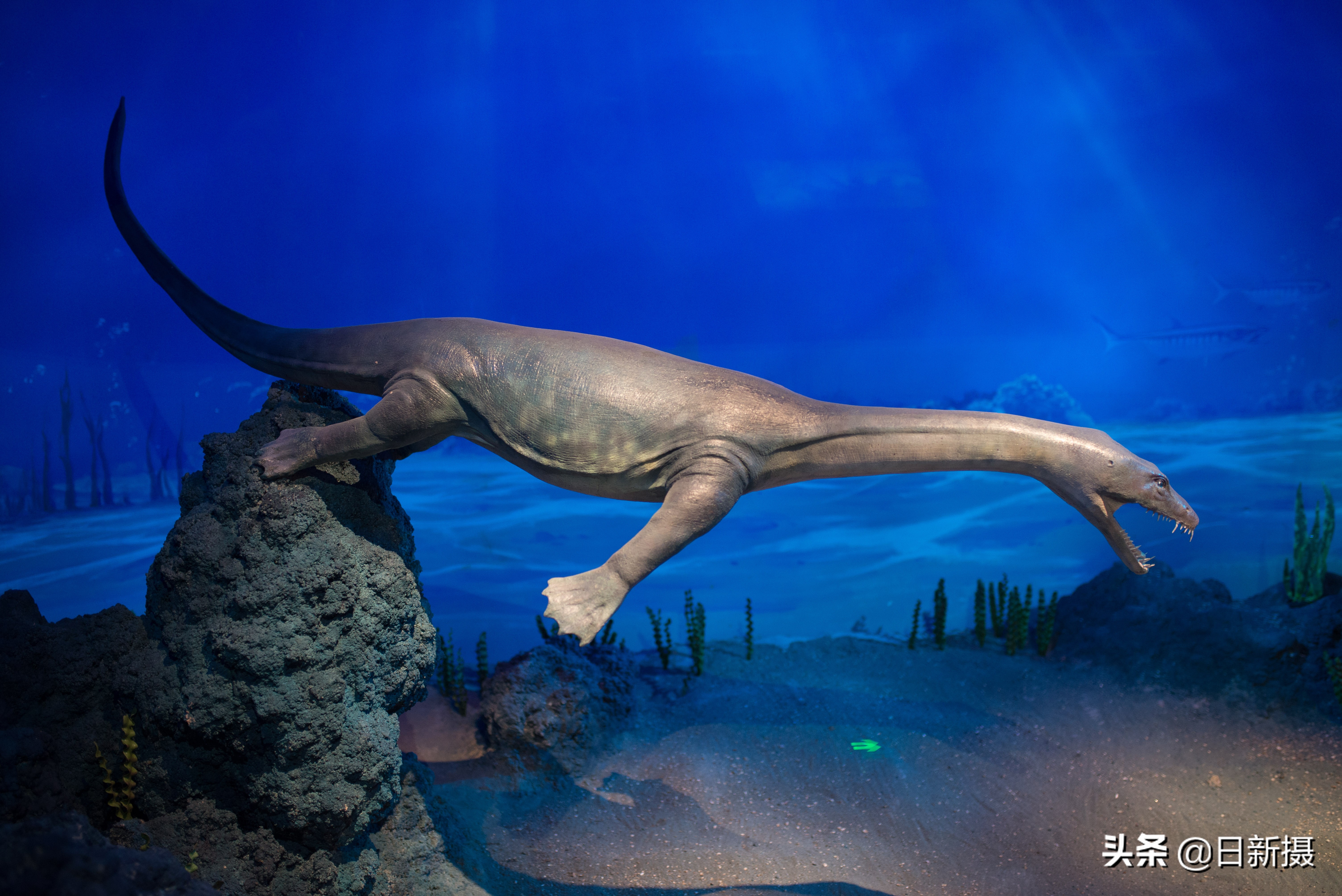 国家海洋博物馆之行,国家海洋博物馆蓝色海洋体验馆