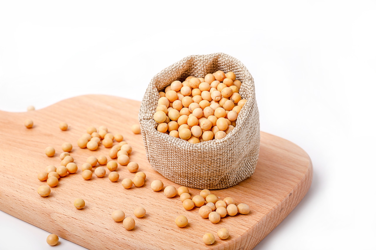 国内大豆上涨最新消息,东北大豆最新价格及后市分析