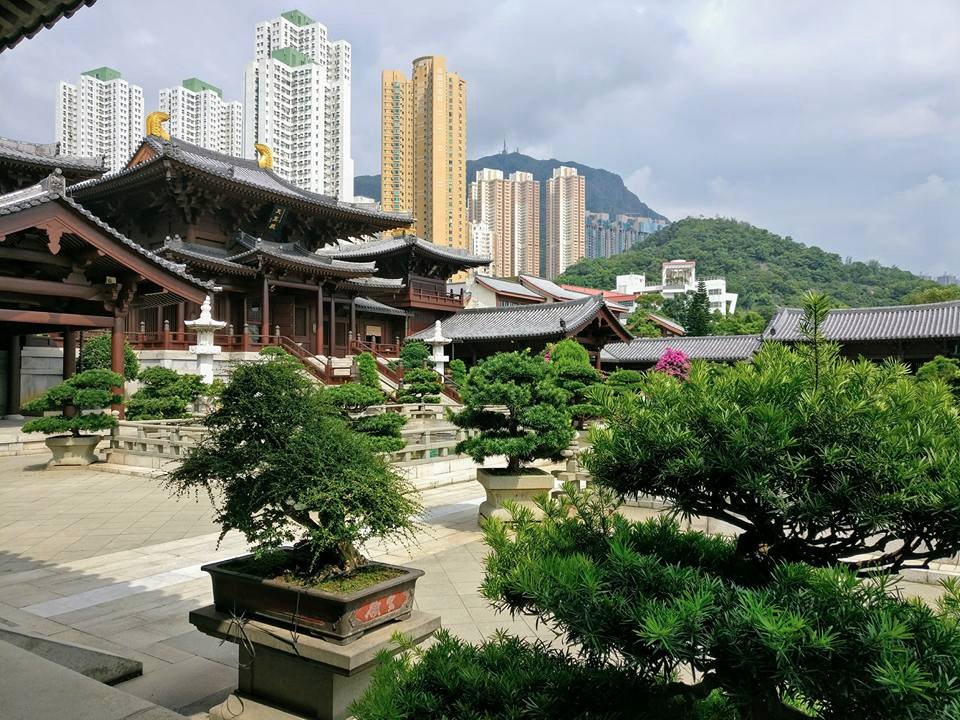 香港志莲净苑地图,香港志莲净苑好玩吗