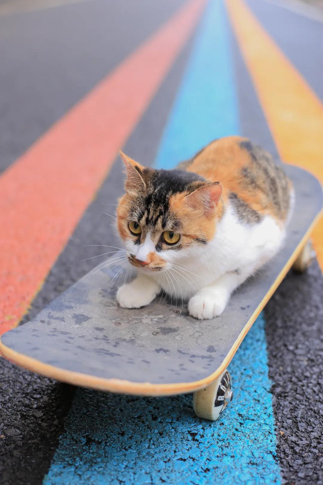 life暴雪嘉年华,life潮跑版