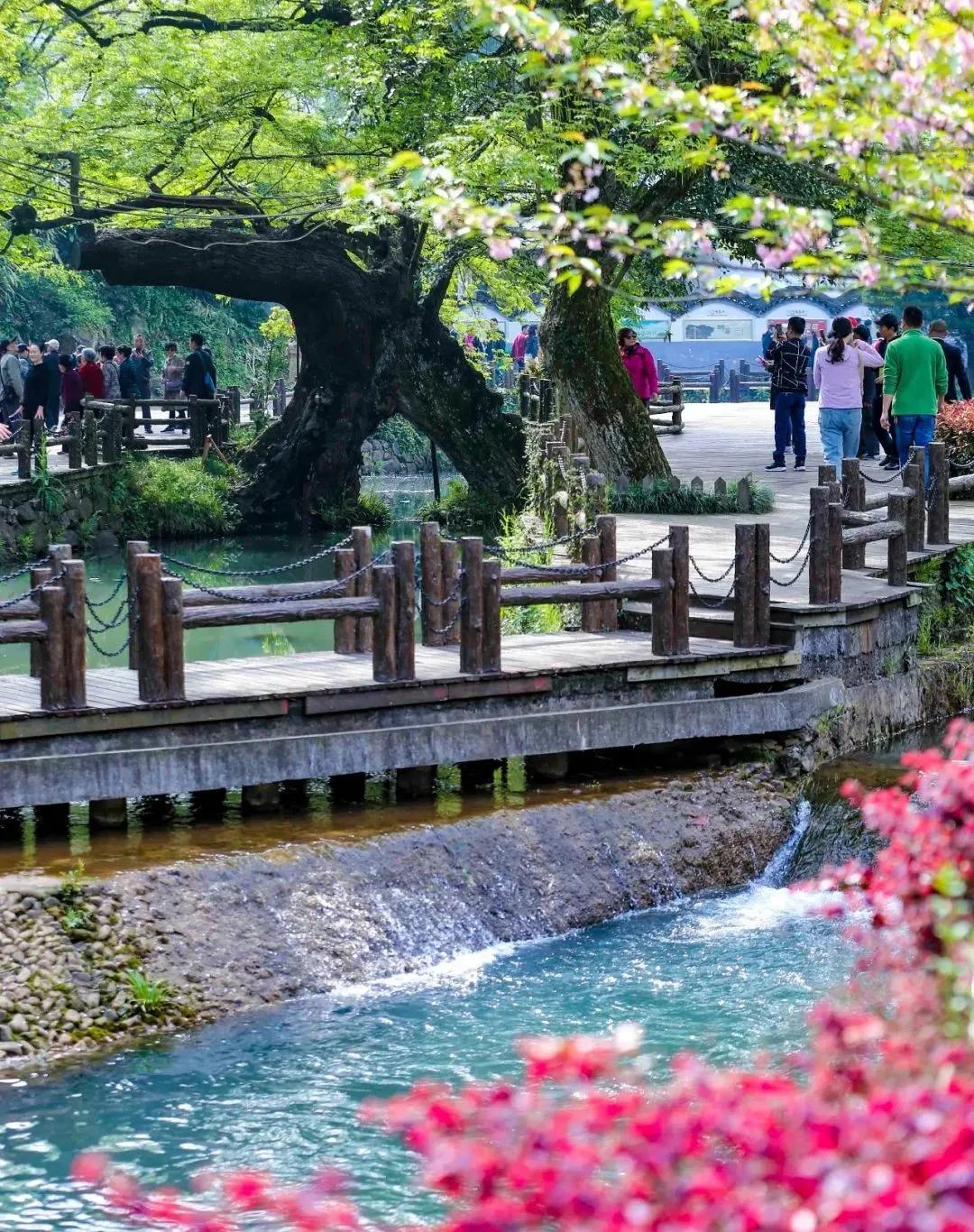 五松何清幽，胜境美沃洲：长三角这座城市因铜得名