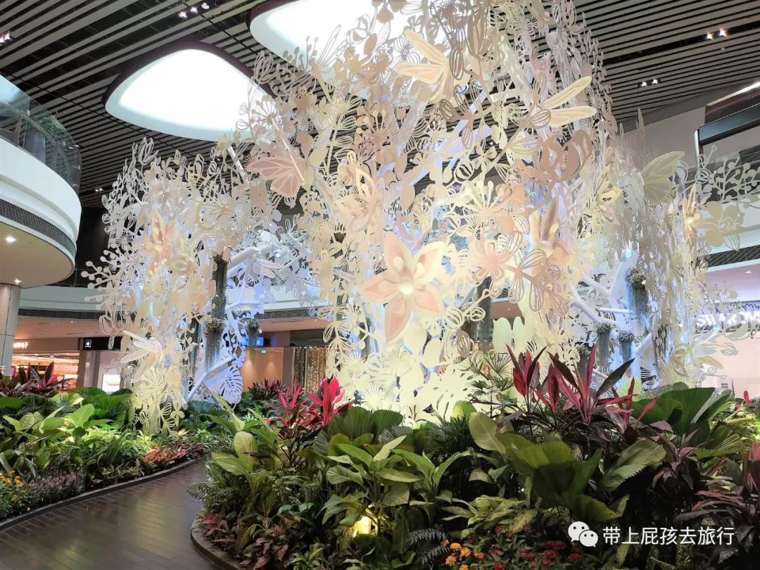 无旅行不暑假亲子游胜地新加坡,新加坡马来西亚亲子游春节