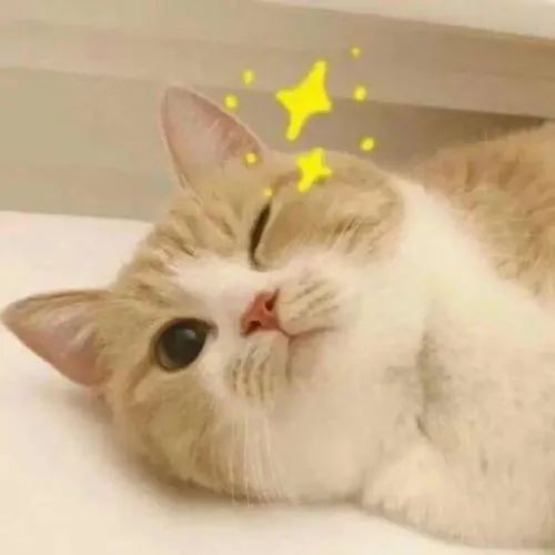 这四类食品不宜放冰箱你都知道吗,食品禁止上市销售的有哪些