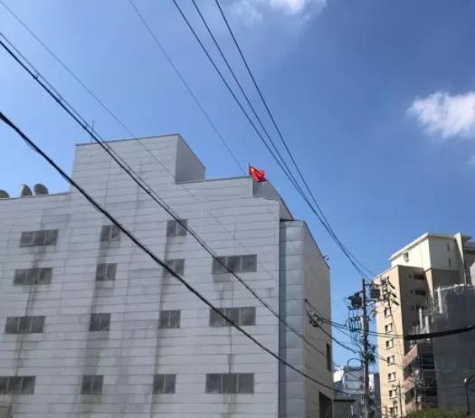 2022美宝换发旅行证,2021美宝换旅行证