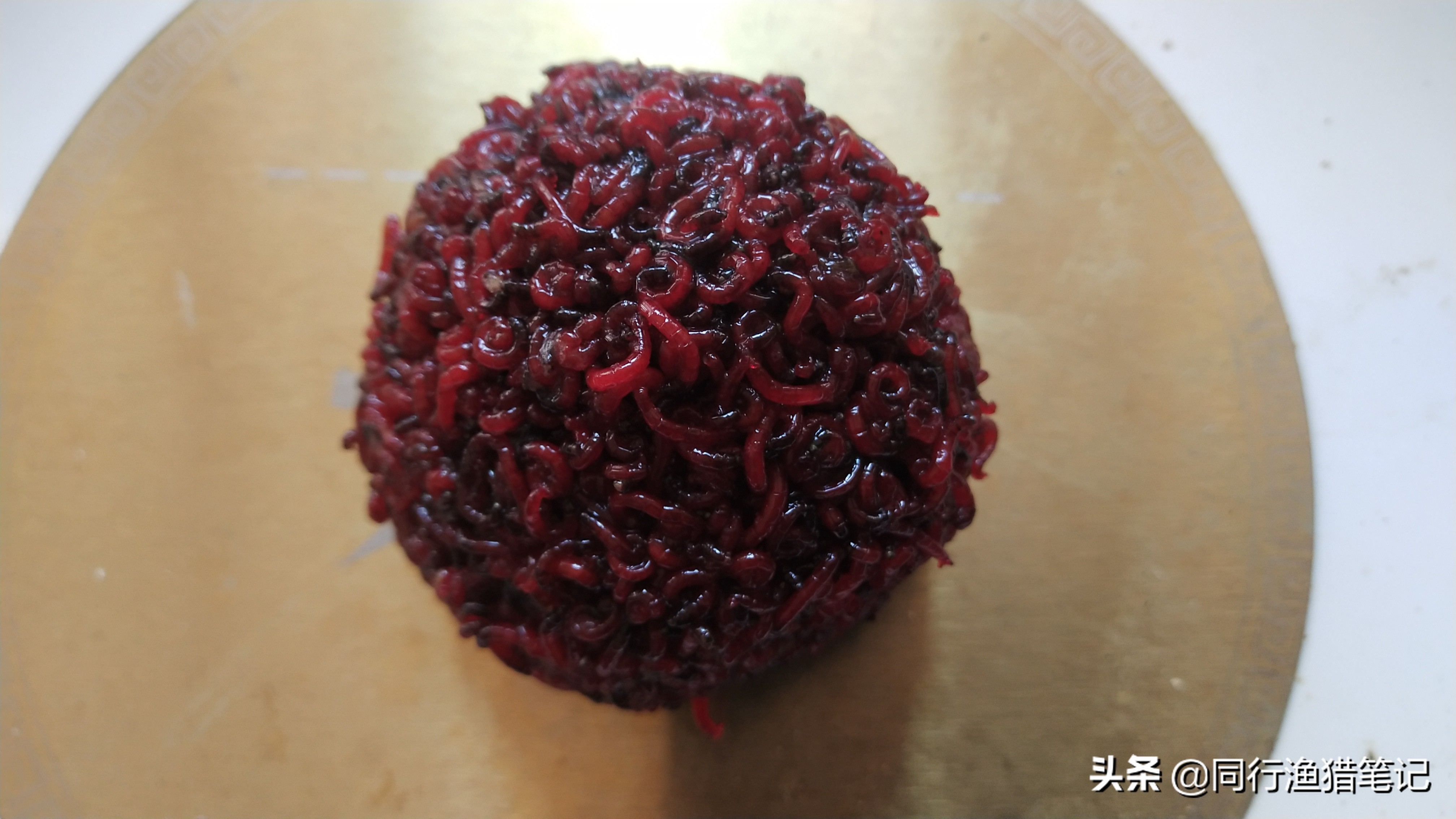 红虫拉饵开饵技巧,教你如何开好红虫拉饵