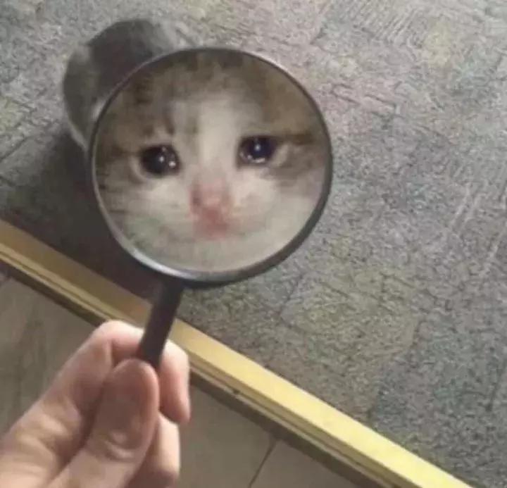 为什么戴隐形眼镜有异物感,戴隐形眼镜有种异物感