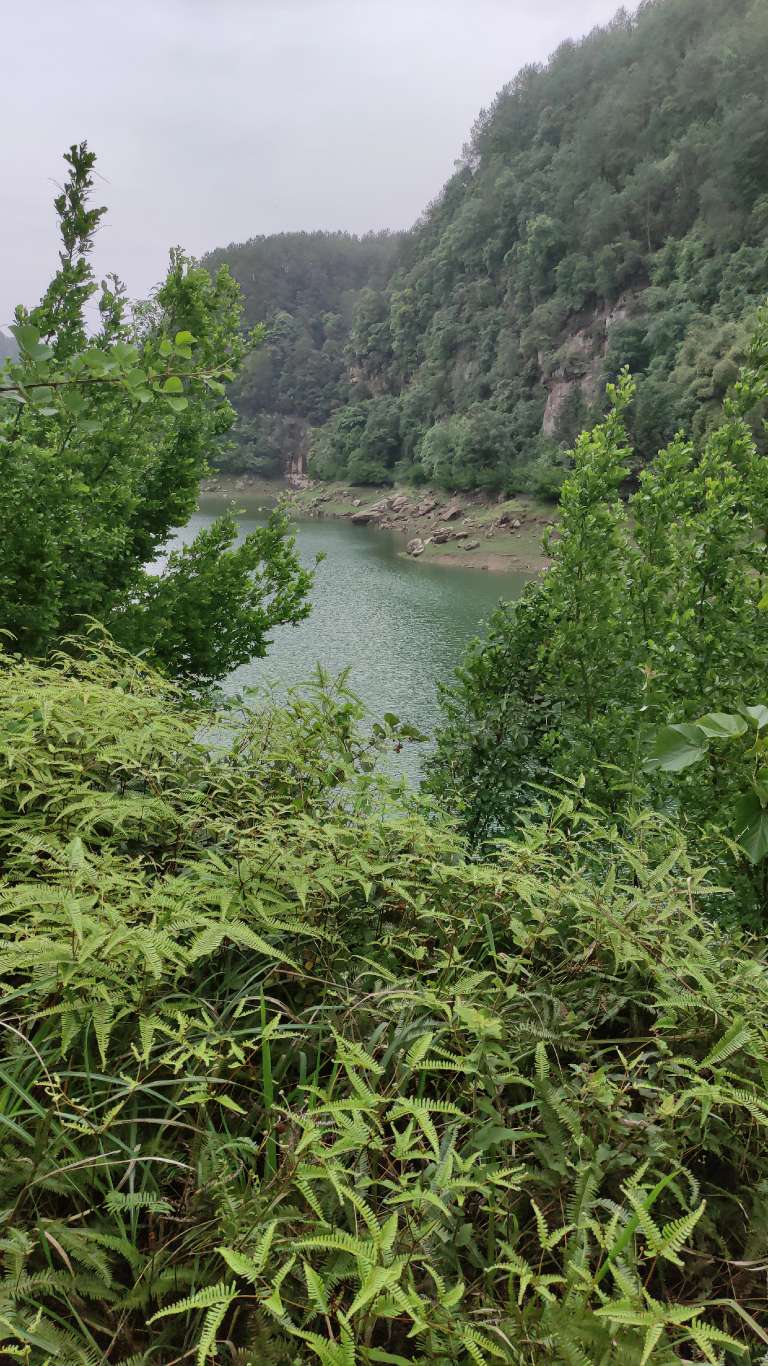 长沙水库钓鱼条件最好的地方,长沙哪里好钓鱼攻略