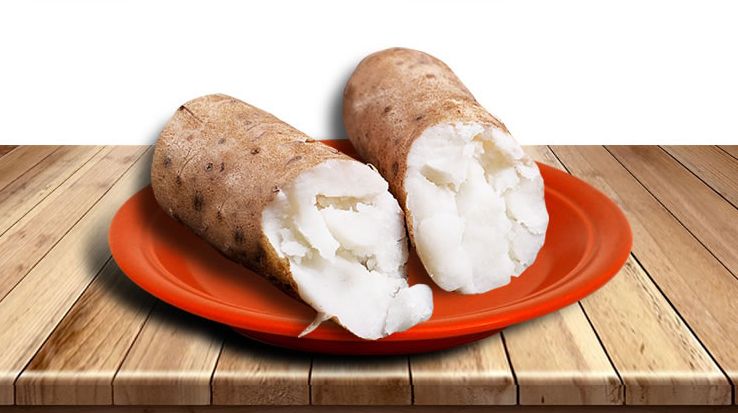 垆土铁棍山药乃山药之王,垆土山药和铁棍山药有什么区别