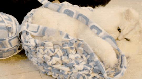 一对夫妻的零浪费生活,自制牙膏洗发水