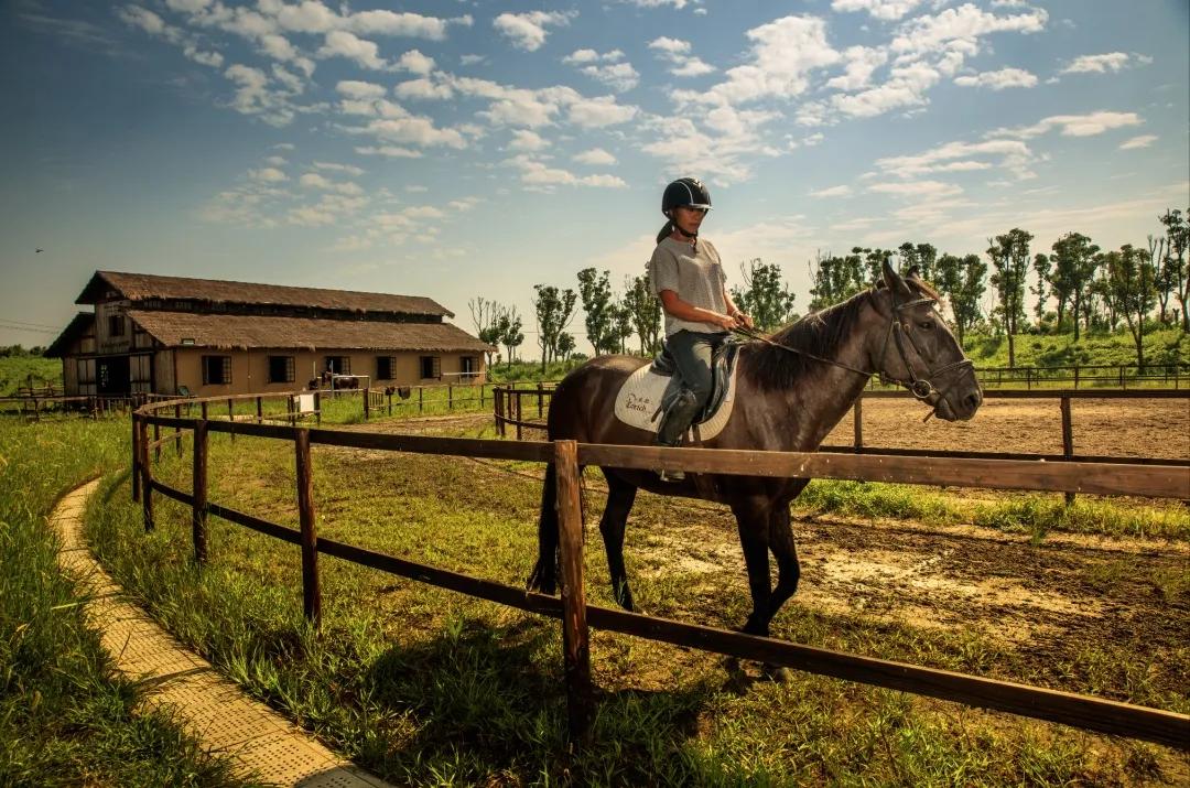 妗愪埂鍚堟偊姹熷崡骞哥鐢熸椿,妗愪埂鍚堟偊姹熷崡鏃呮父鏀荤暐