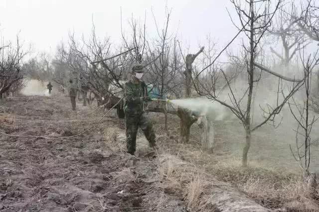 酷似酱油不是酱油,虽然古老但杀虫灭菌都不落后,替都替不了