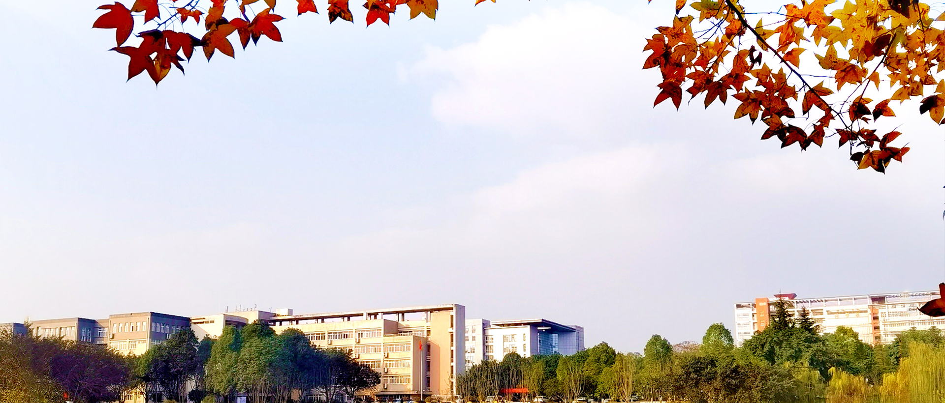 西政本科毕业生4341人、就业率89%，平均薪酬5250元