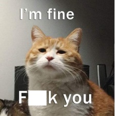 化妆品被小孩弄坏，是一种什么体验？