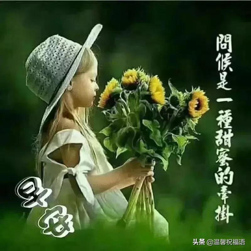 早上好温馨靓丽问候语图片,星期天早安问候语图片高清