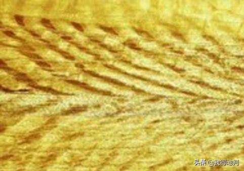 金丝楠纹理鉴赏,金丝楠阴沉木极品纹理集合