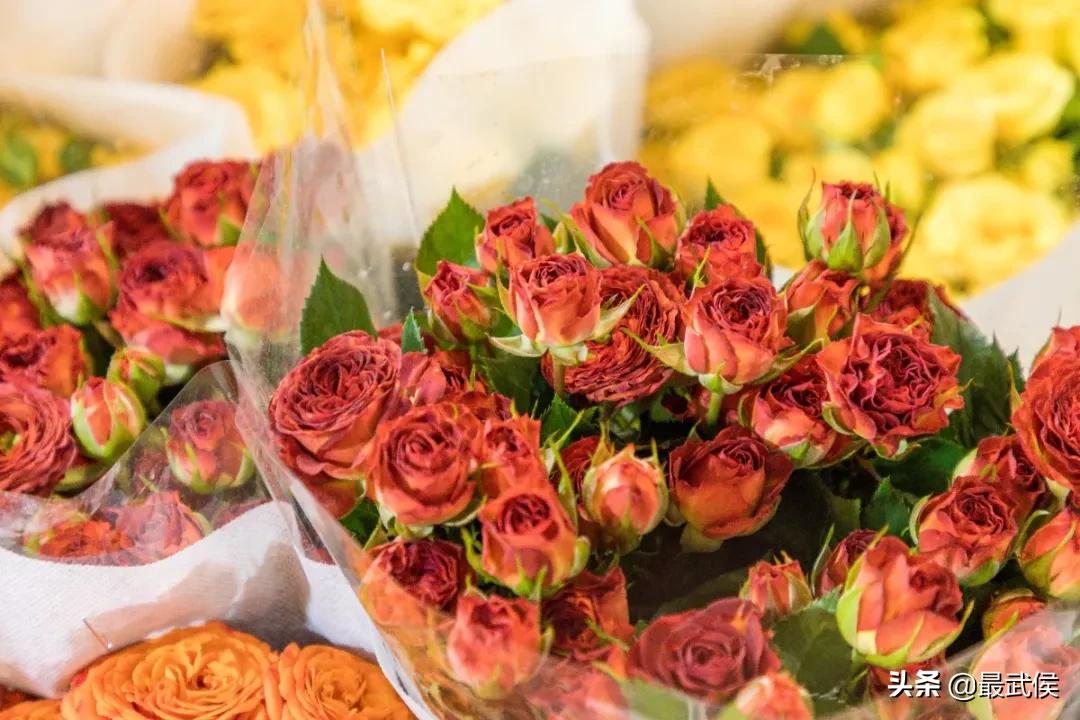 超便宜！成都铁轨下的花市5元买回一个春天！