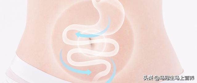 好消化的食物养肠,消暑饮食