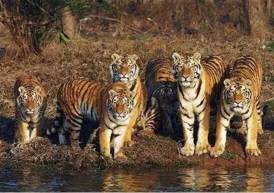 上海站到上海新国际博览中心地铁,上海地铁沿线景点排名