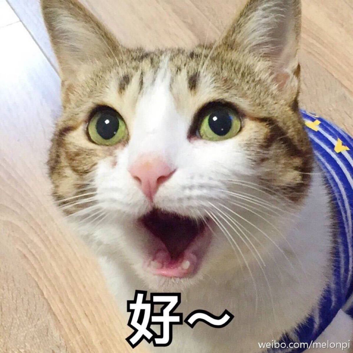 生活中的忽悠是什么,生活中我们被哪些谣言忽悠了