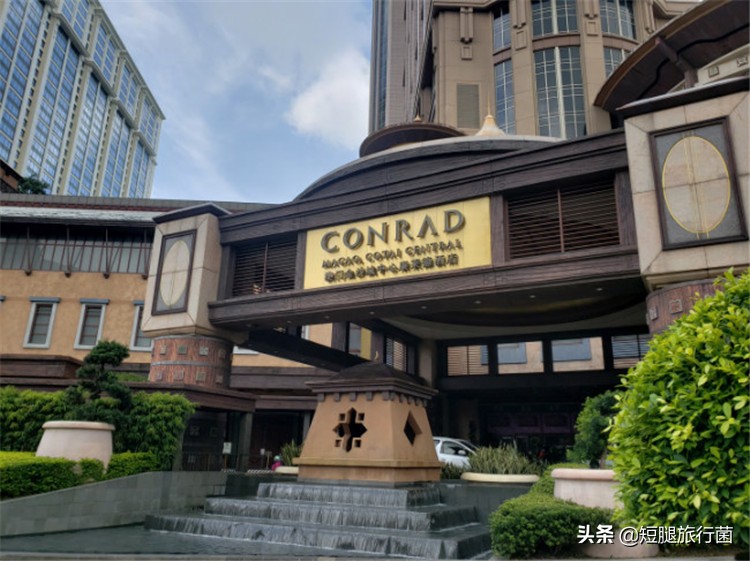 携程康莱德,澳门康莱德酒店2203房间