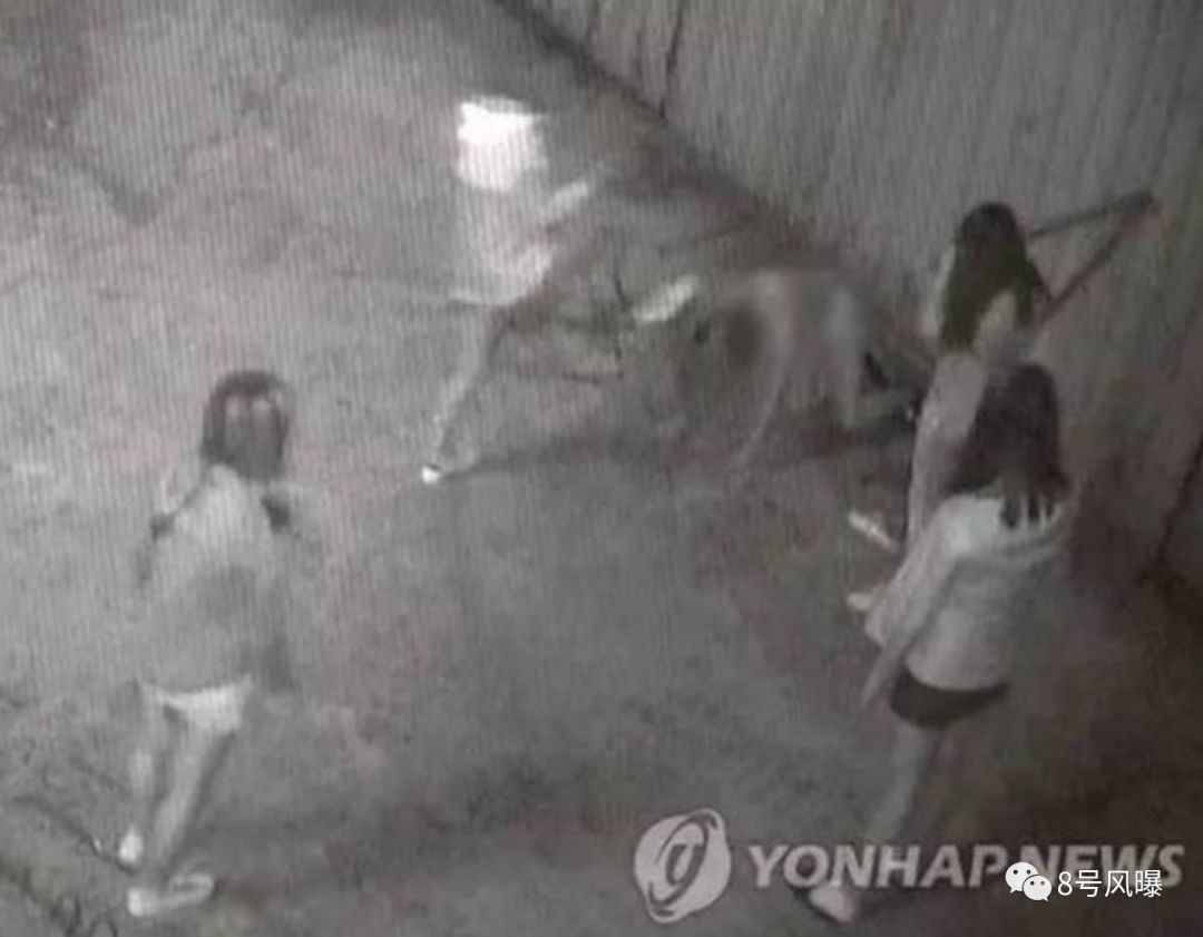 韩国14岁少女被打,韩国22岁女孩惨遭暴打