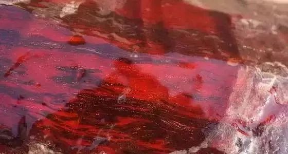 国标红木29种高清图,29种国标红木排名及价格