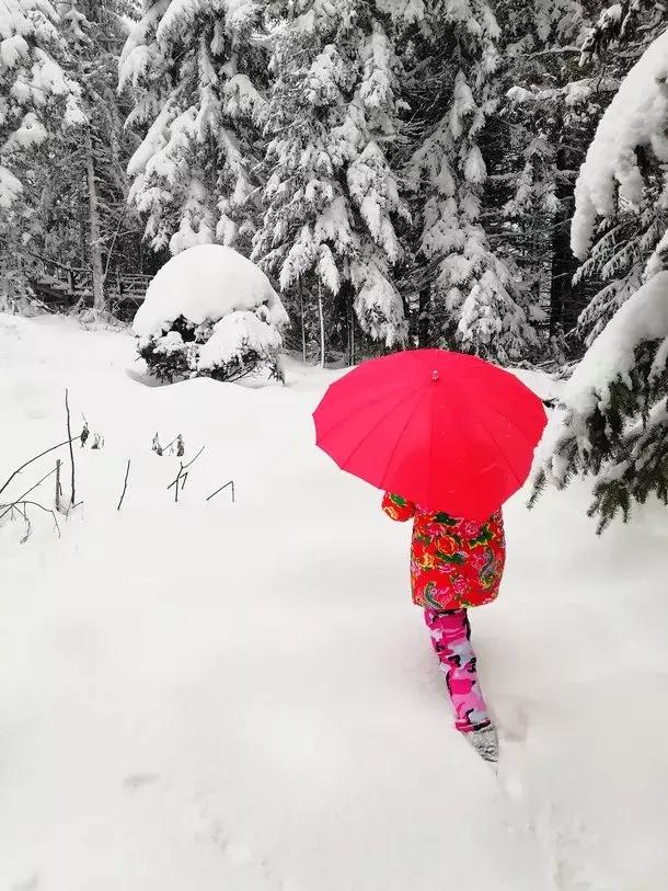 雪乡11月下旬的天气,11月份的雪乡有雪吗