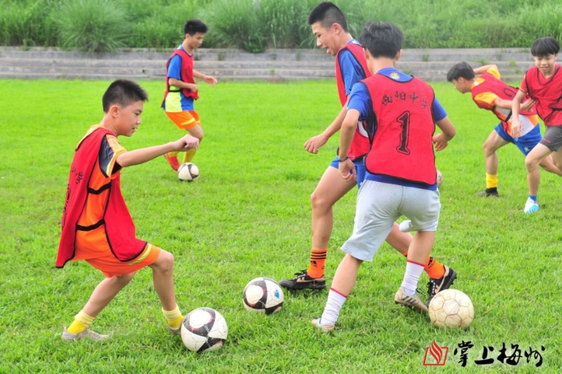 梅州市梅江区西阳镇足球,梅州西阳足球