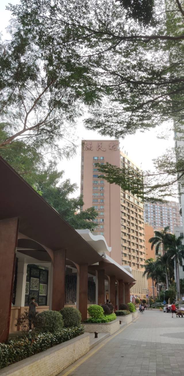 从“水流柴”变“千万元户村”，广东这个村如何做到的？