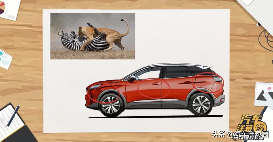 把狮子放在森林上会怎么样,把狮子放在笼子里会怎么样