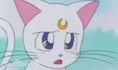 十大名猫动漫,动漫排行榜前十名京剧猫