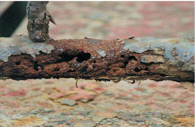 辍学12年，干过矿工：他却让蒙特雷大学竖起缅甸的*旗国**，凭什么