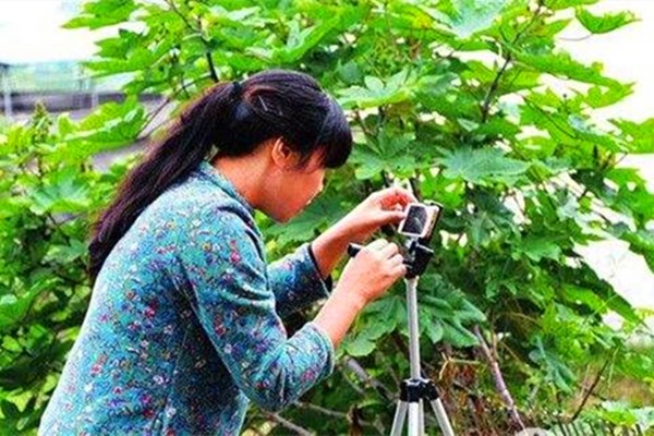 马云谈农村未来有什么发展前景,马云说未来发展在农村