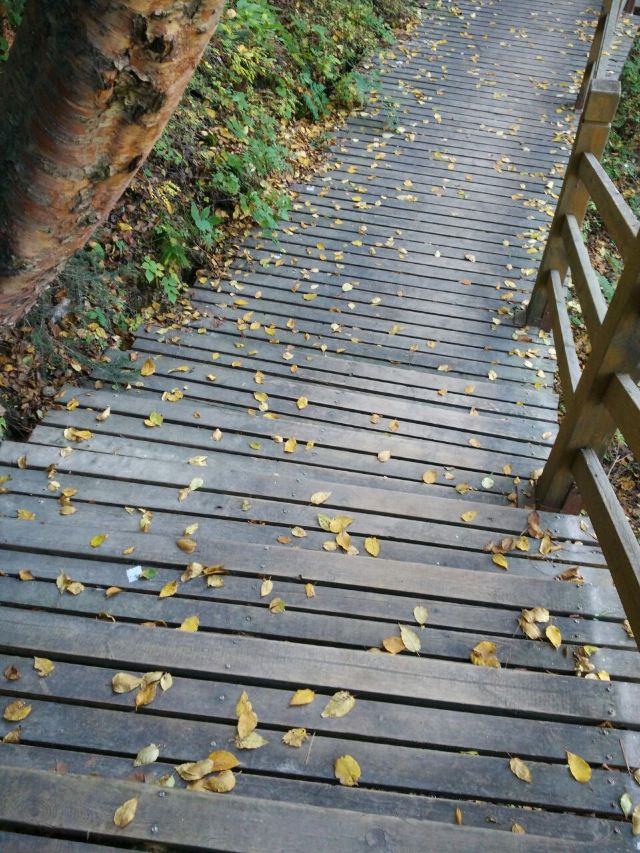 孟达天池风光拍摄,孟达天池适合旅游吗