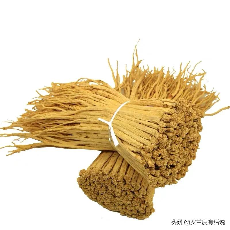 党参怎么选才是最好的,党参怎么选