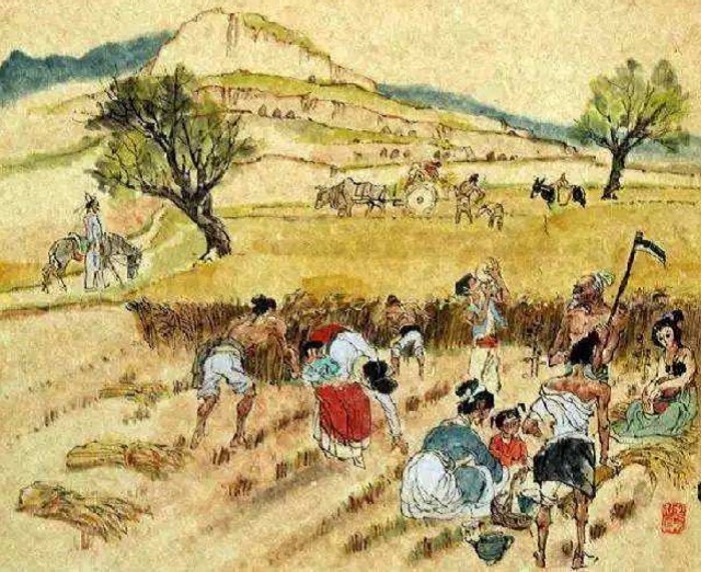 白居易看到卖炭翁的内心独白,白居易所写卖炭翁是晚唐时期吗