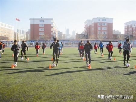 足球基础知识科普,世界足球的基本知识