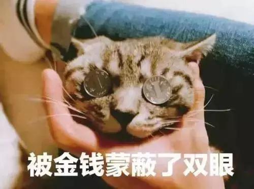 副业月入1万30万的斜杠青年,斜杠青年能赚钱吗