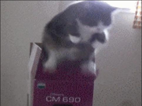 网球肘能自我恢复吗,网球肘病因的解剖学研究