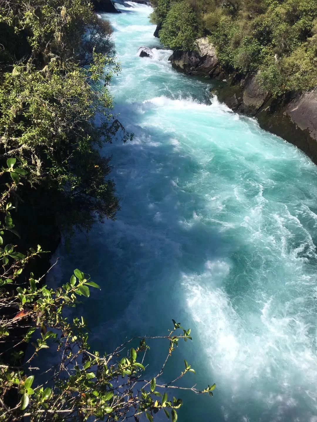 记忆中的旅行之新西兰（北岛）