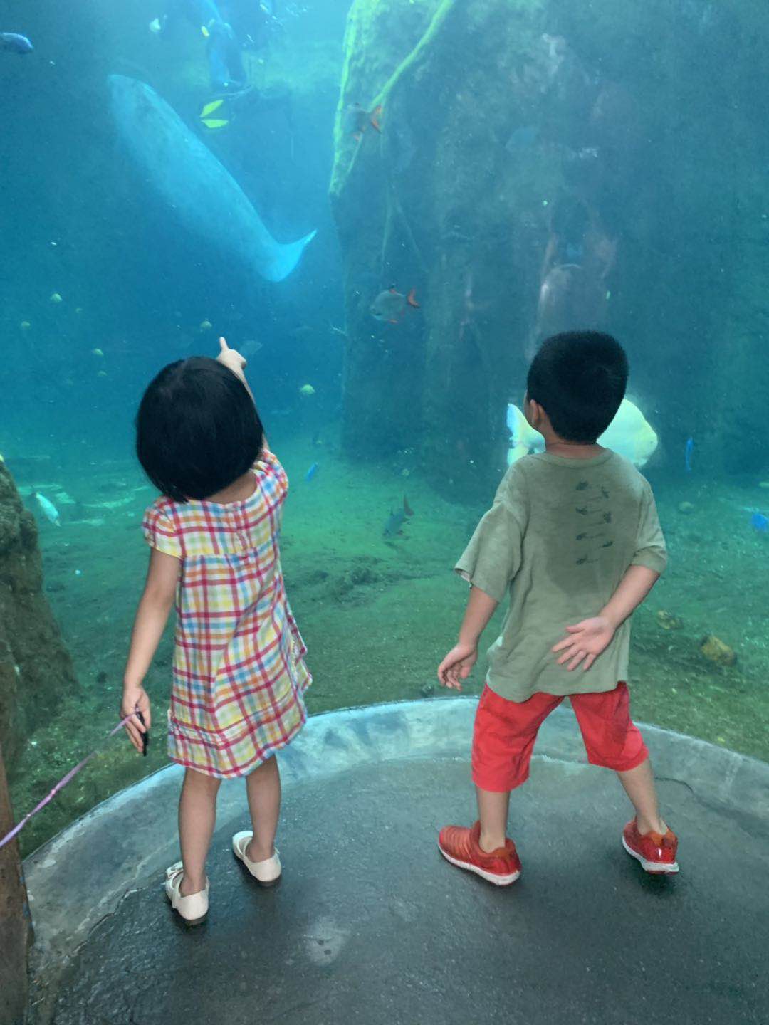 珠海长隆企鹅海洋王国攻略,珠海长隆海洋王国攻略2天亲子游