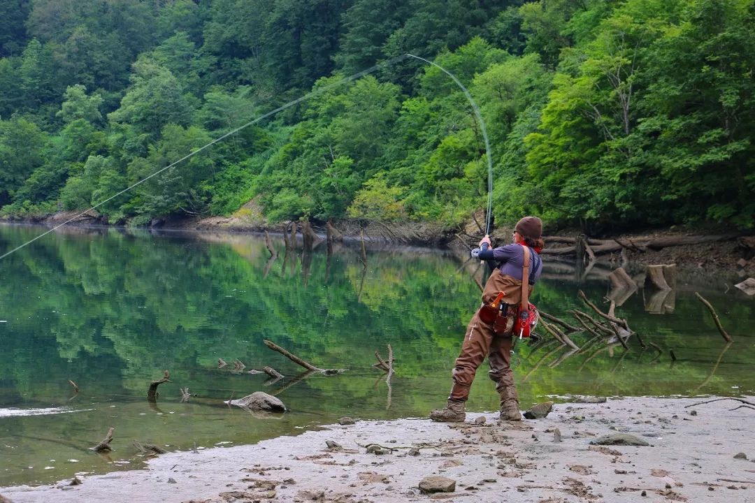 世界顶级淡水鱼大全,世界上顶级鱼类大全