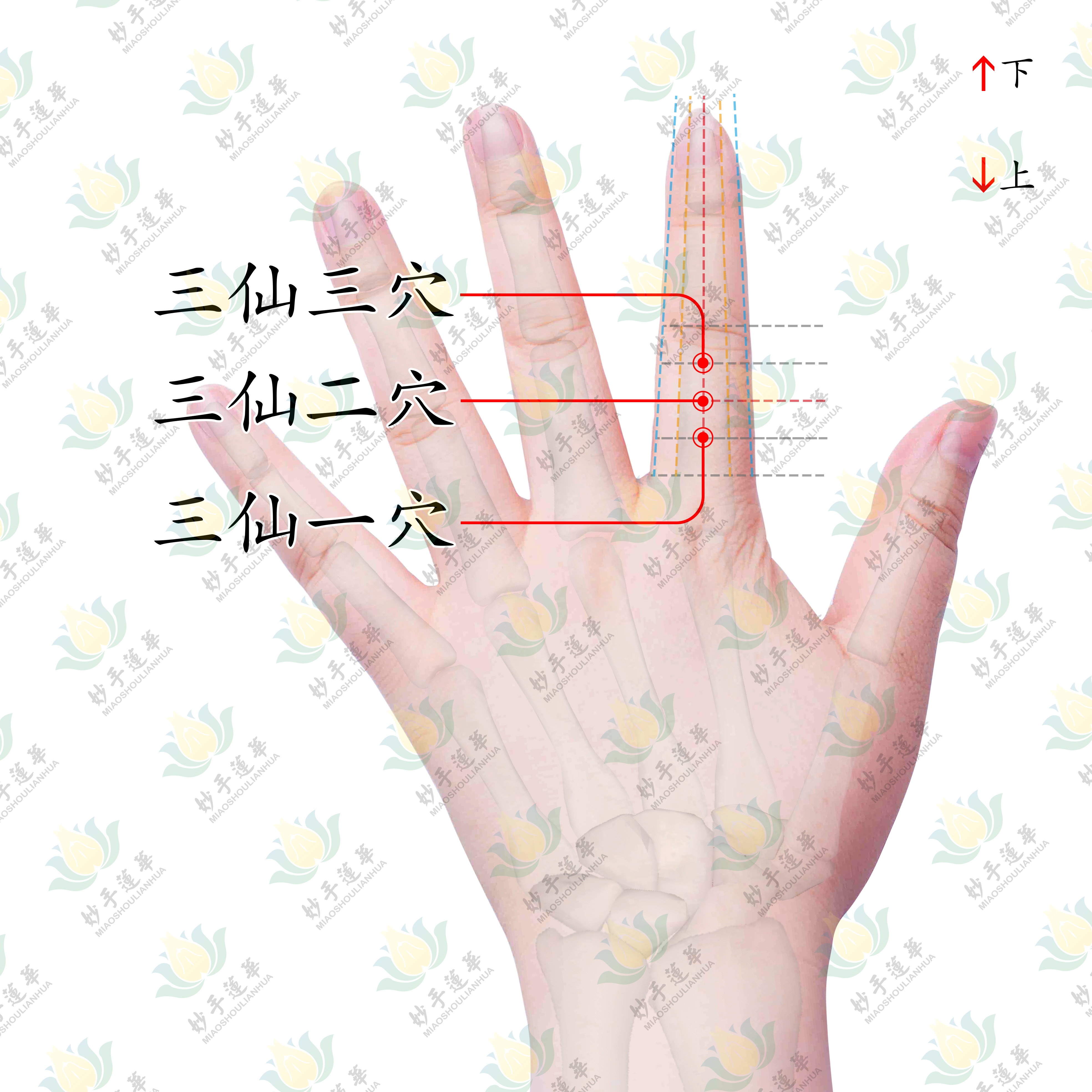 三仙穴-助你缓解湿疹、过敏性皮肤病等带来的痛苦