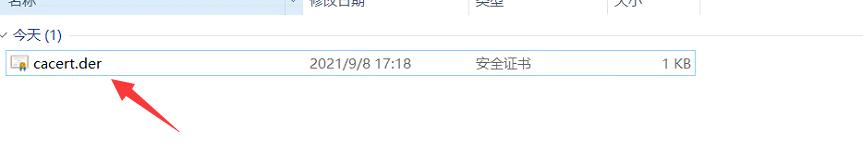谷歌浏览器导入burp证书教程