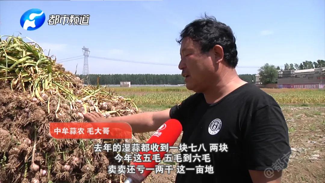 蒜你狠大蒜价格,蒜你狠改编版