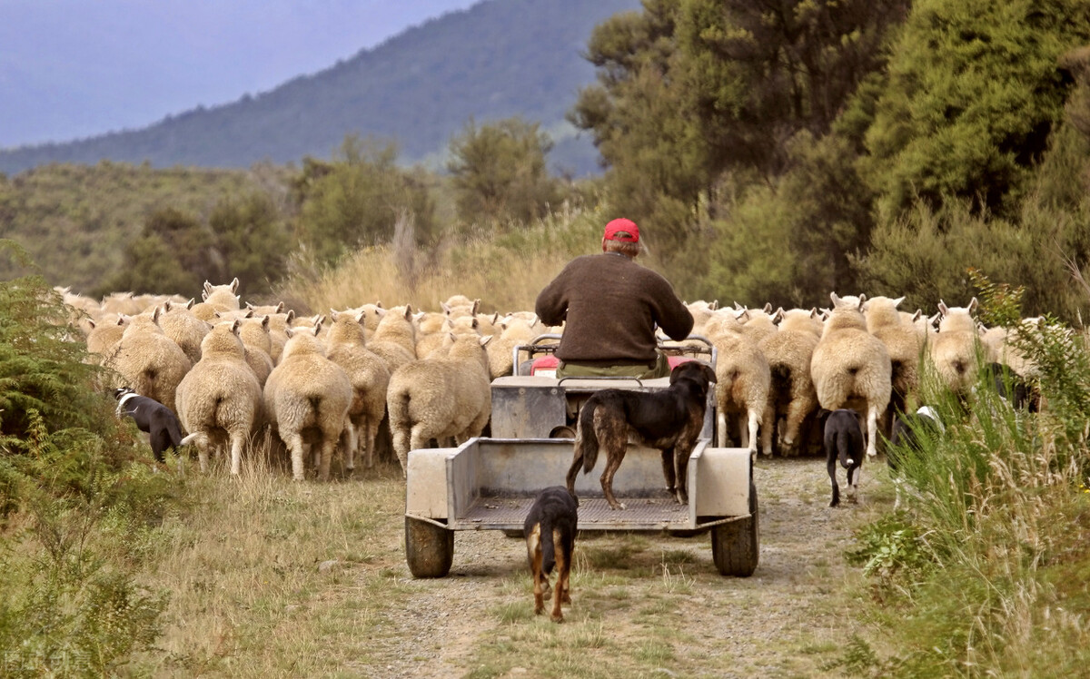 田园牧歌的文学特点,田园牧歌理念