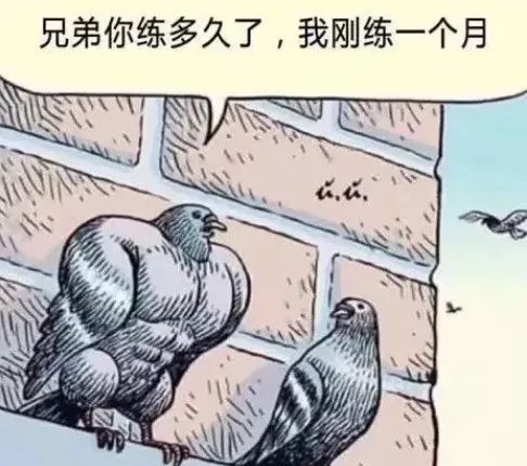 增肌粉喝了不消化吃什么药,增肌粉怎么喝才能一个月长胖