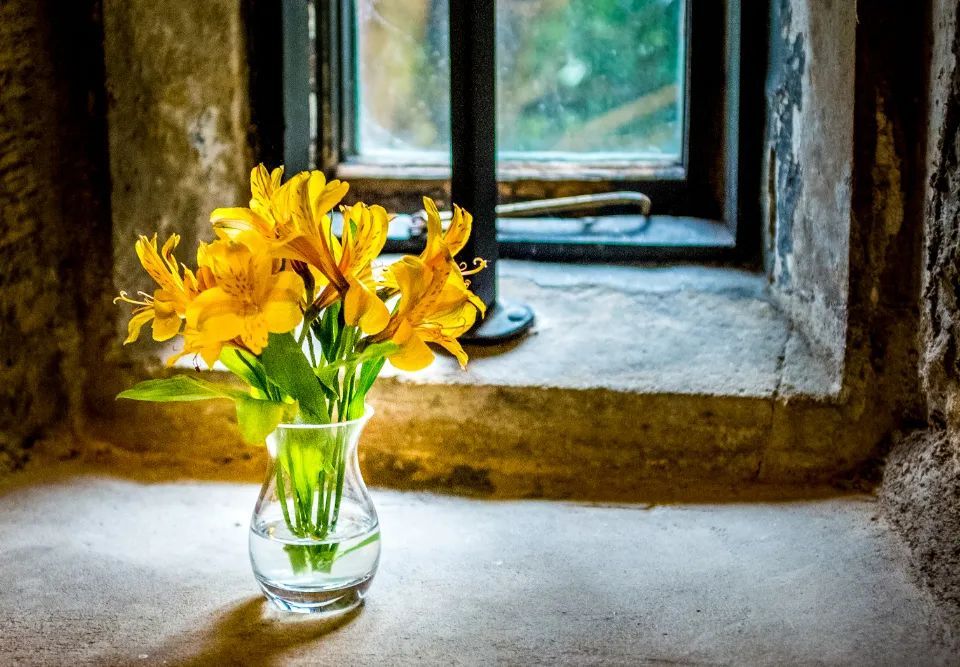 舍然软装跟蓝筱玉软装,做软装好吗