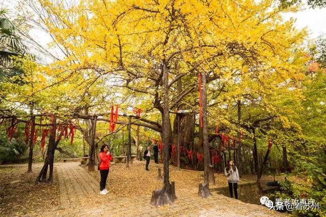 一入秋苏州怎就美成了姑苏,一入秋南京就成了金陵