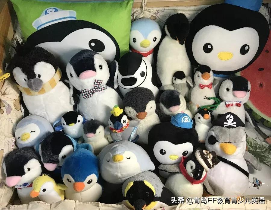 明星学员Eric|培养一位开朗活泼、兼具学霸属性的小孩不难